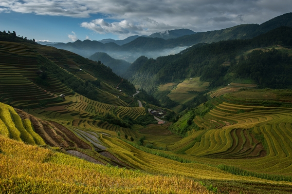 30 ภาพประทับใจแห่งปี เสน่ห์ทุ่งข้าวสีทองจากผืนนาบ้านเฮา