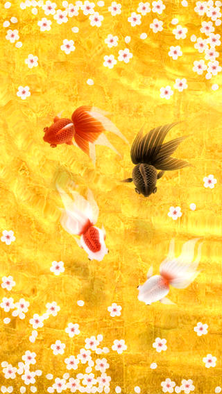 Wa Kingyo - Goldfish Pond