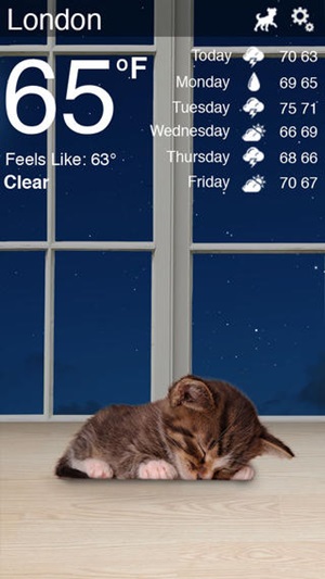 Weather Kitty