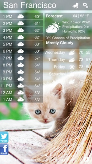 Weather Kitty