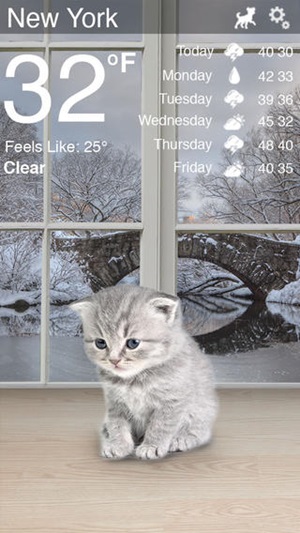 Weather Kitty