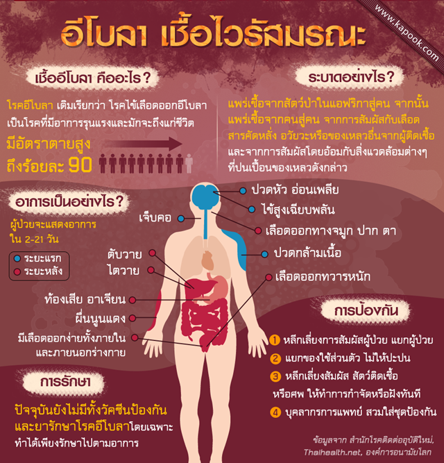 อีโบลา เชื้อไวรัสมรณะจากกาฬทวีป