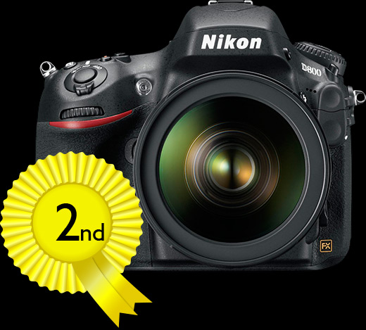 Nikon D800 / D800E