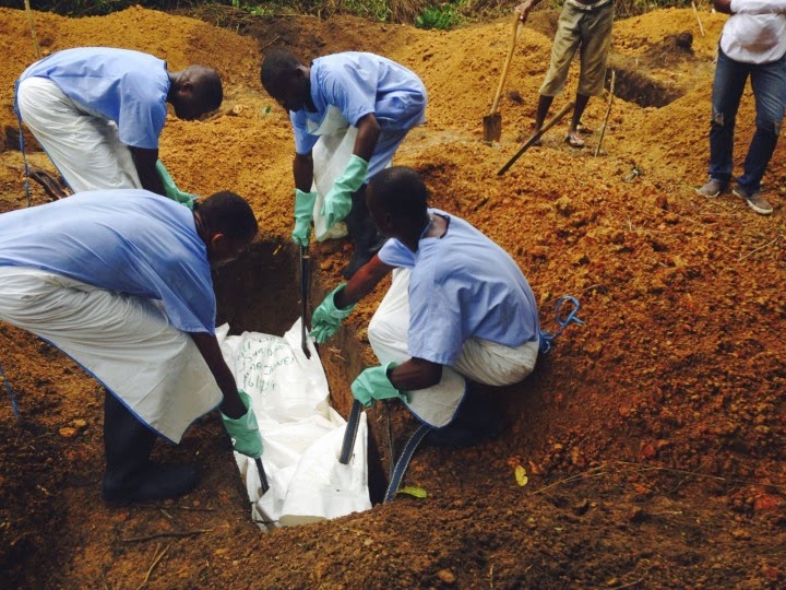 หมาป่าขุดกินศพผู้ติดเชื้ออีโบลาที่ไลบีเรีย เสี่ยงเป็นพาหะนำโรค