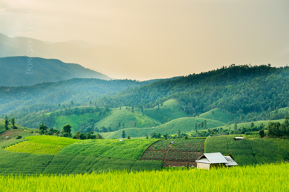 บ้านป่าบงเปียง จังหวัดเชียงใหม่