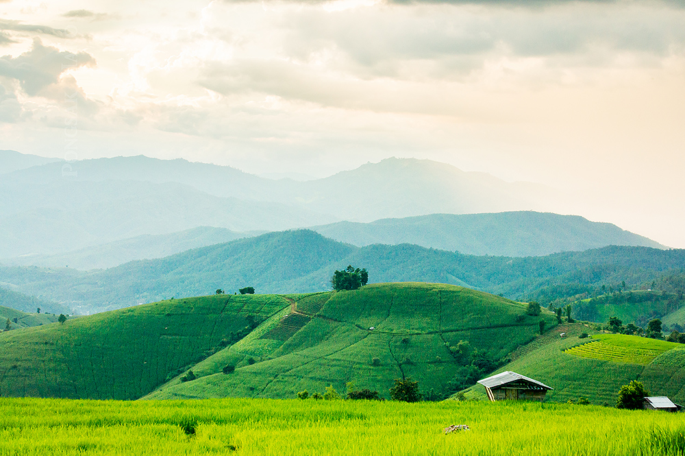 บ้านป่าบงเปียง จังหวัดเชียงใหม่