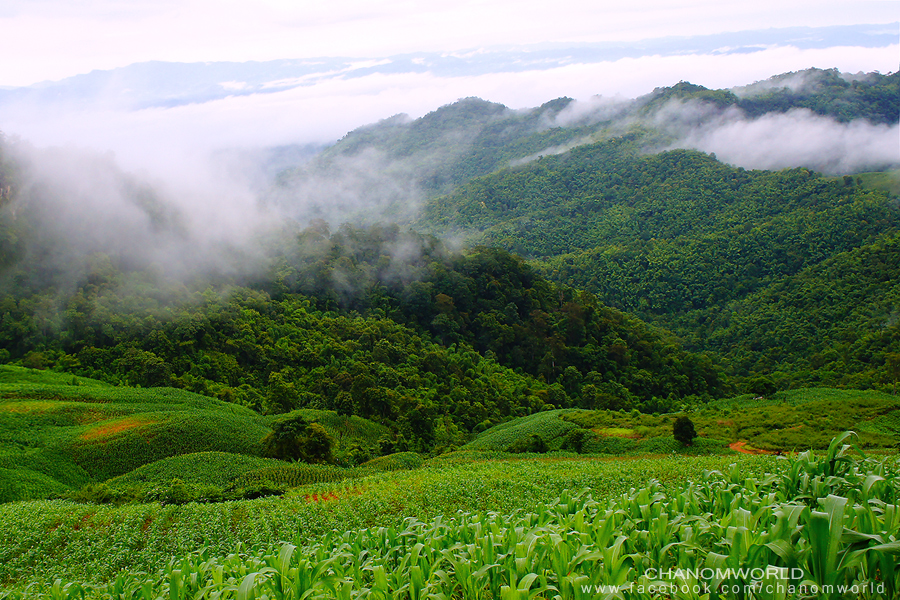 อุทยานแห่งชาติศรีน่าน