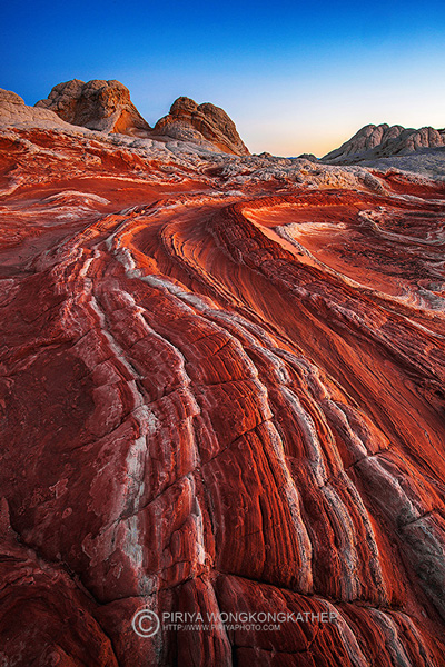 USA Desert 