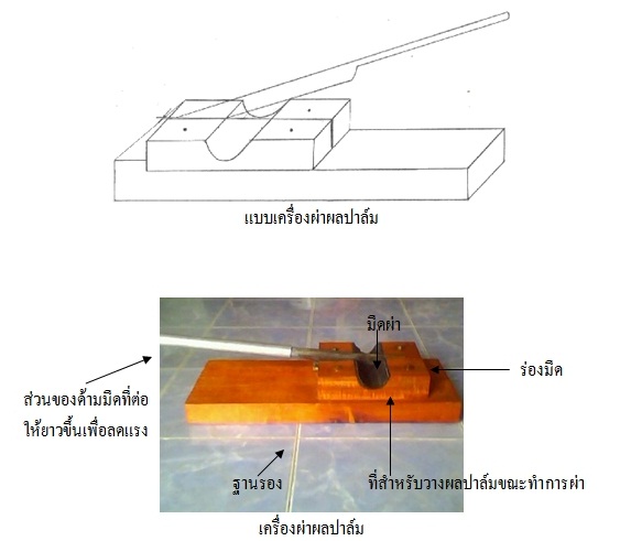 เครื่องผ่าผลปาล์ม