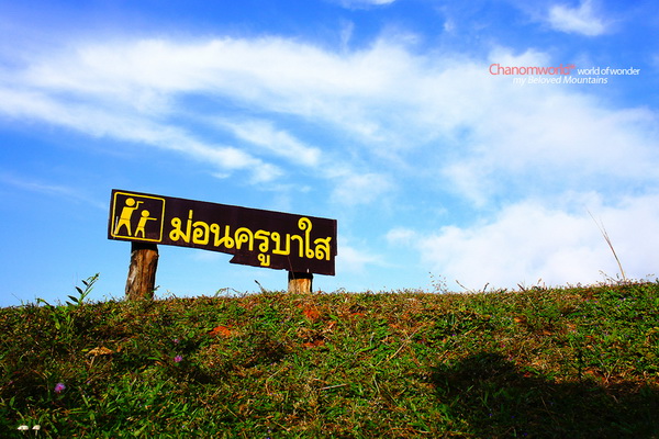 อุทยานแห่งชาติแม่เมย