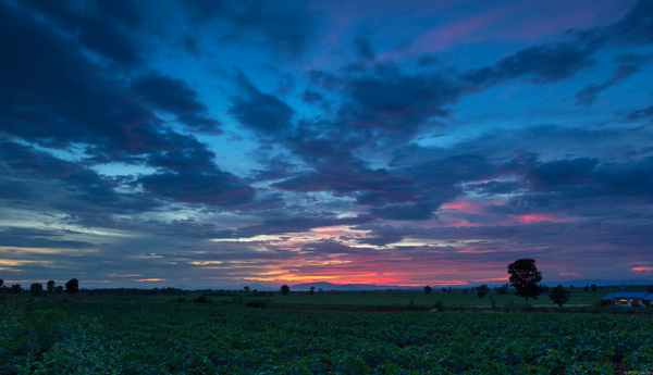 ภาพ Landscape