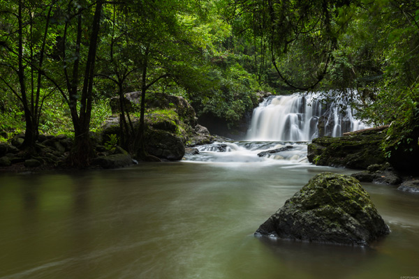 ภาพ Landscape