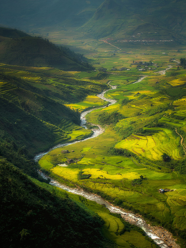Rice terraces Vietnam 