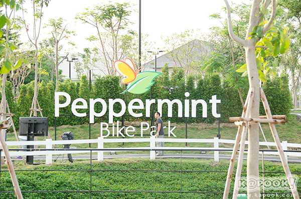 Peppermint Bike Park สนามจำลองจักรยานเสือภูเขา