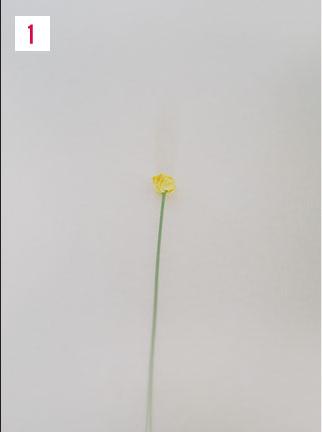 D.I.Y. ดอกไม้