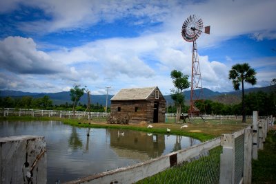 Small Farm Chiang Mai