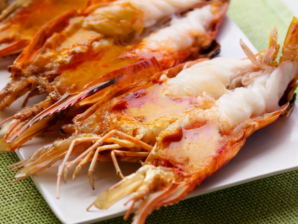 River shrimp