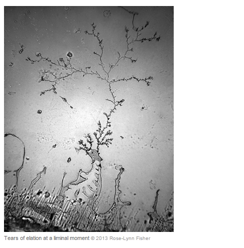 ภาพขยายน้ำตา