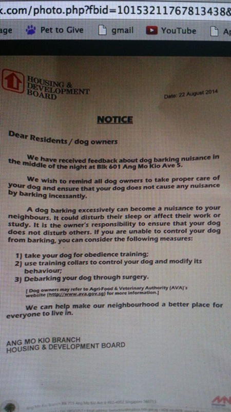 สิงคโปร์แนะ ตัดเส้นเสียงสุนัข แก้ปัญหาเห่ารบกวนชาวบ้าน