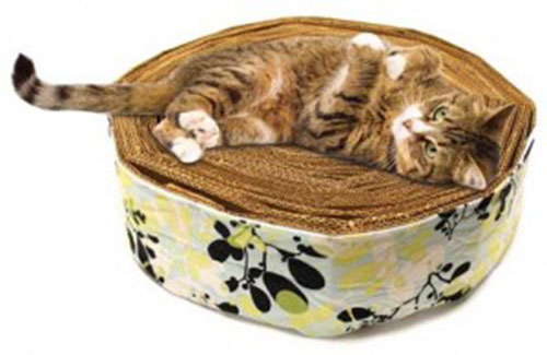 D.I.Y. เปลี่ยนกระดาษลังเหลือใช้เป็นเตียงฝนเล็บแมวสุดน่ารัก  