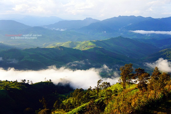 แอ่วน่าน ชมความงามของอุทยานฯ ศรีน่าน & ขุนสถาน