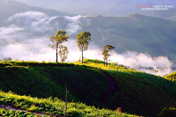 แอ่วน่าน ชมความงามของอุทยานฯ ศรีน่าน & ขุนสถาน