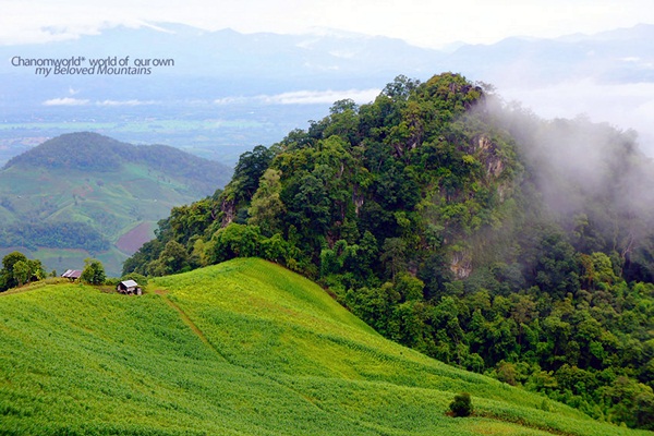 แอ่วน่าน ชมความงามของอุทยานฯ ศรีน่าน & ขุนสถาน