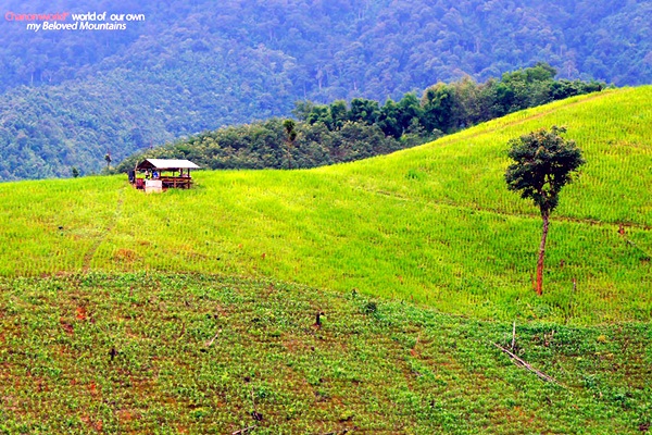 แอ่วน่าน ชมความงามของอุทยานฯ ศรีน่าน & ขุนสถาน