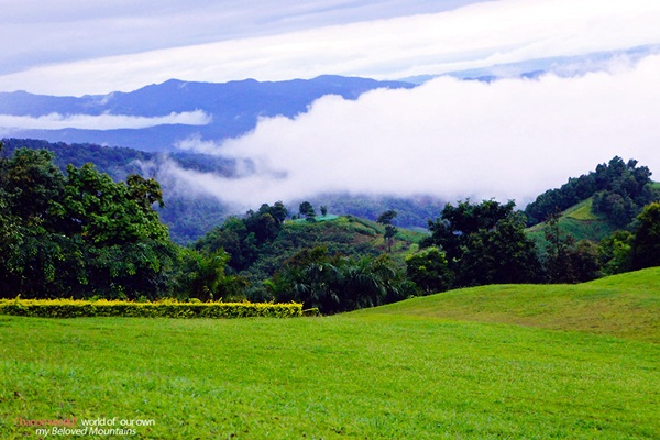 แอ่วน่าน ชมความงามของอุทยานฯ ศรีน่าน & ขุนสถาน