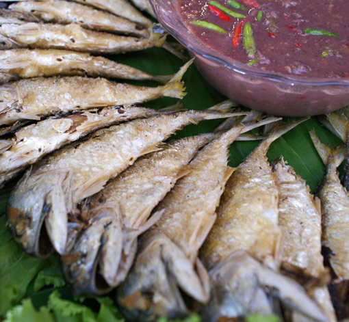 เทศกาลกินปลาทู 2555