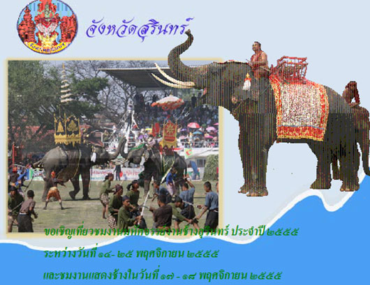 ชวนเที่ยว งานช้างสุรินทร์ 2555 ชมโชว์ช้างสุดอลังการ