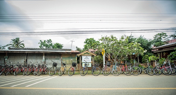  ปั่นจักรยานเที่ยวแบบ Slow Travel ที่บ้านนาต้นจั่น สุโขทัย