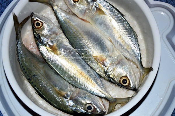 เมนูอาหารไทย วิธีทำปลาทูเค็ม