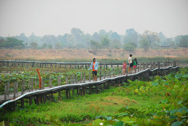 รวมสะพานสวย ๆ ทั่วไทย อันซีนแดนสยามที่ห้ามพลาด