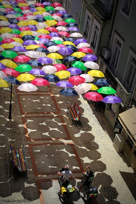 Agitagueda art festival สีสันแห่งร่ม (เงา) ในโปรตุเกส
