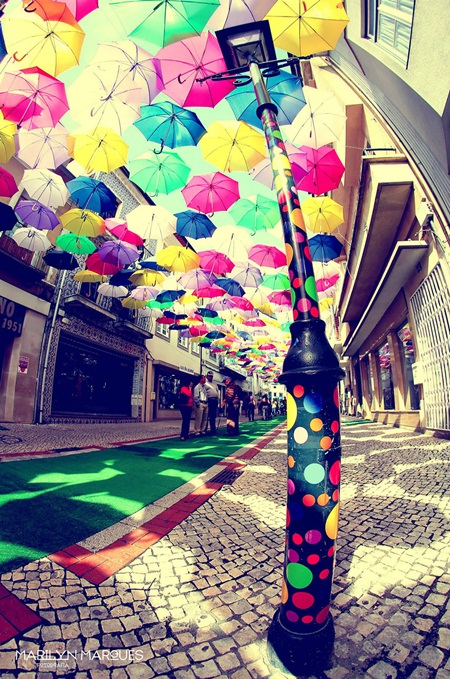  Agitagueda art festival สีสันแห่งร่ม (เงา) ในโปรตุเกส