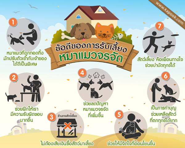 7 ข้อดีของการรับเลี้ยงหมาจรจัด แมวจรจัด สู่บ้านอันอบอุ่น