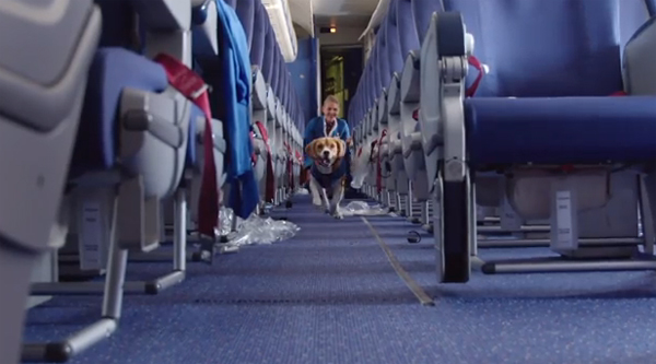 พนักงานบีเกิ้ล สายการบิน KLM ที่แท้มีแค่ในโฆษณา