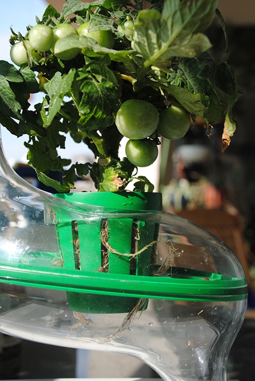 กระถางสร้างสวนผักไฮเทค เสิร์ฟผักสดใหม่ได้ในครัว