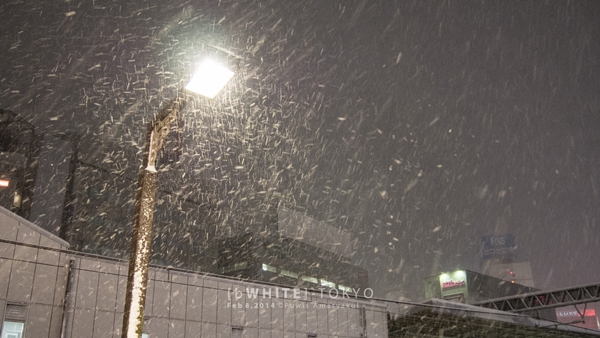 ประมวลภาพ พายุหิมะ ถล่มญี่ปุ่น ขาวโพลนทั้งโตเกียว