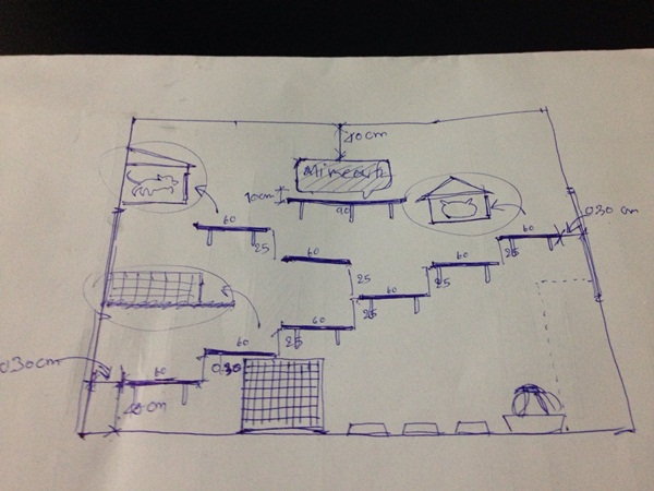 D.I.Y. ห้องนอนแมว ที่นอนแมว