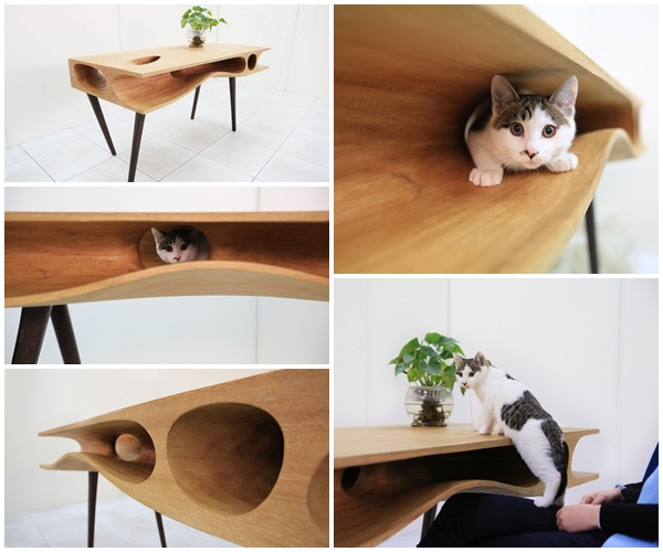  โต๊ะทำงานดีไซน์เก๋ สำหรับคนรักแมว