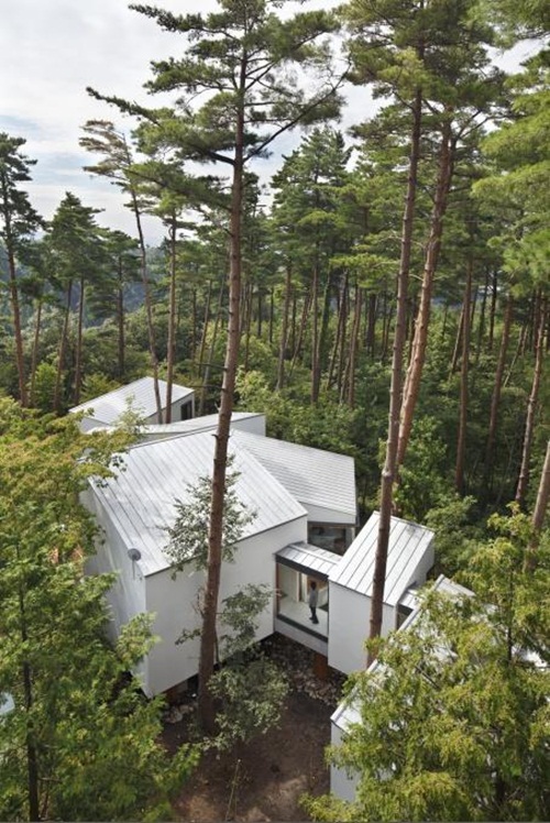แบบบ้านสวยๆ บ้านรักษ์โลกสไตล์ญี่ปุ่น