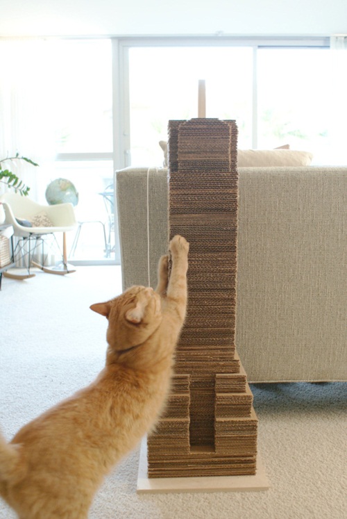 DIY เฟอร์นิเจอร์แมว ของเล่นแมว