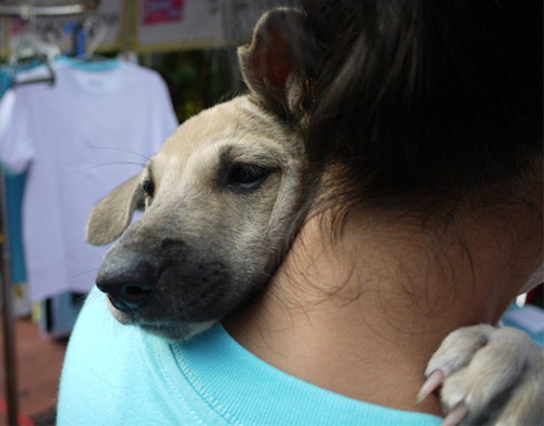 ภาพน่ารักๆ ระหว่างความผูกพันของคนกับหมา