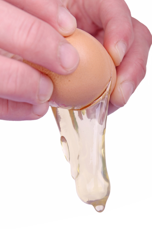8 ข้อดีของไข่ขาวกับเรื่องในบ้าน ที่รู้แล้วจะต้องร้องว้าว