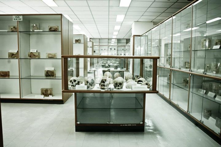 เปิดแล้ว พิพิธภัณฑ์ศิริราชพิมุขสถาน แหล่งเรียนรู้ทางการแพทย์