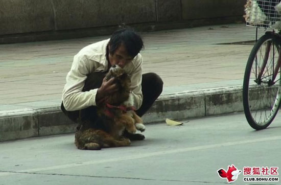 สะเทือนใจ! เผยภาพชายจีนพยายามผายปอดสุนัขที่ถูกรถชนตาย