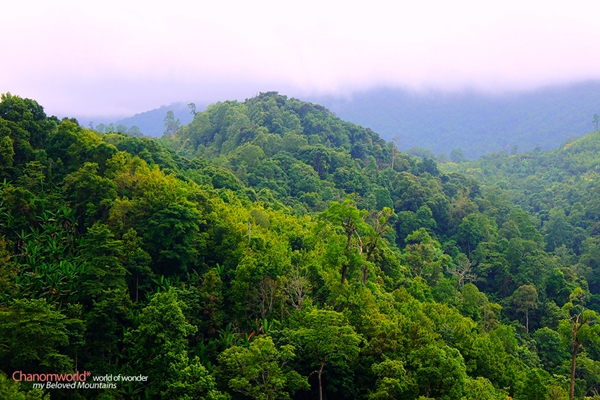 กำแพงเพชร เที่ยวเมืองโบราณ สัมผัสธรรมชาติและสายหมอก ณ เมืองกำแพงเพชร