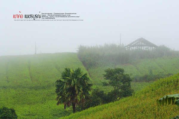 ภูทับเบิก-ภูหินร่องกล้า